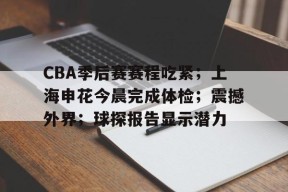 cba球员打球迷视频